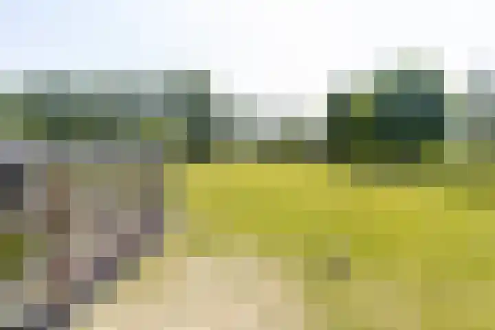 Kerkstraat 17 Nieuwaal thumbnail 69