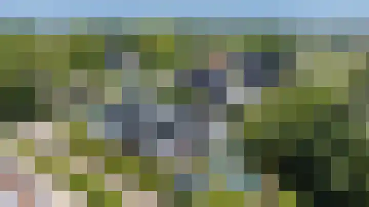 Kerkstraat 17 Nieuwaal thumbnail 81