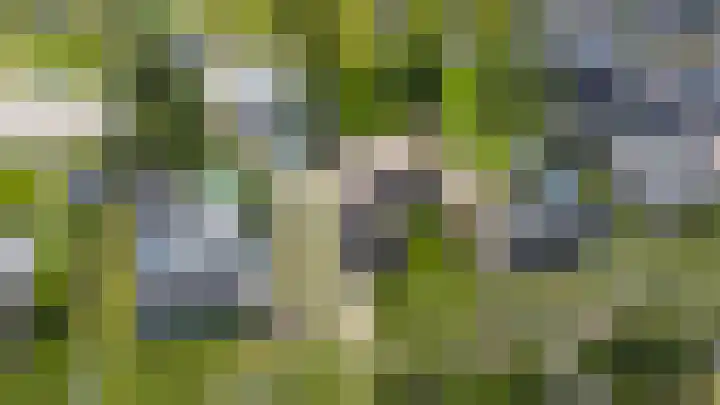 Kerkstraat 17 Nieuwaal thumbnail 87