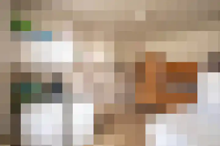 Kerkstraat 17 Overlangel thumbnail 13
