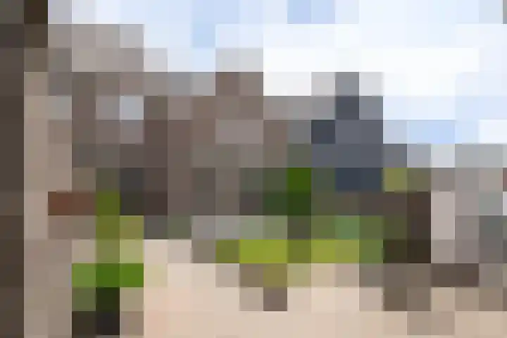 Kerkstraat 17 Overlangel thumbnail 24