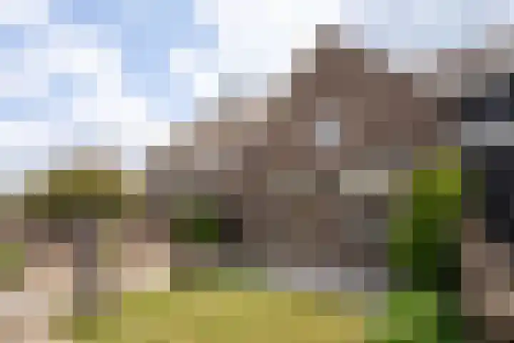 Kerkstraat 17 Overlangel thumbnail 25