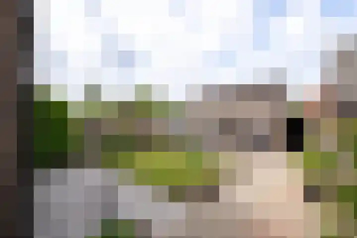 Kerkstraat 17 Overlangel thumbnail 26