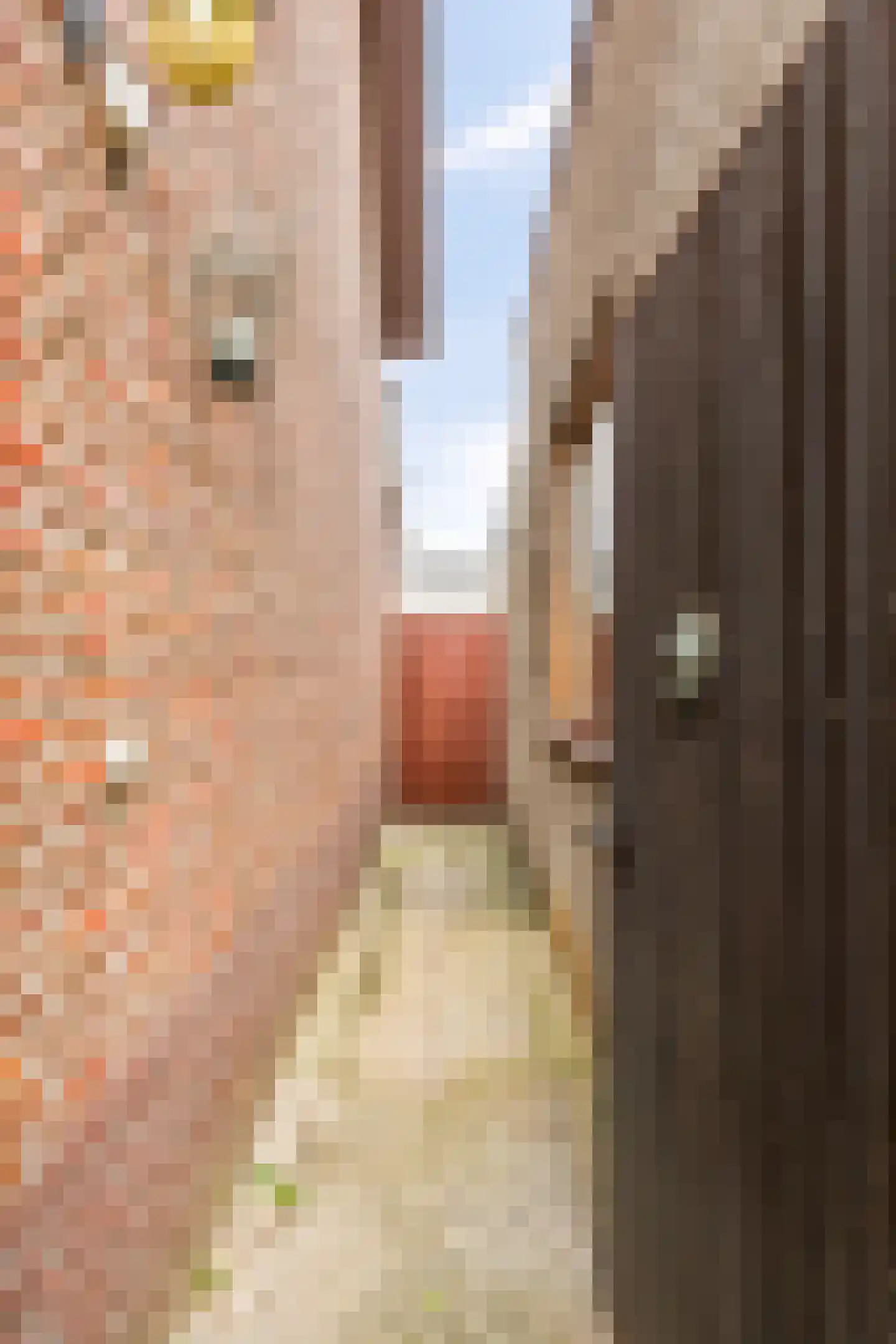 Kerkstraat 17 Sweikhuizen thumbnail 7