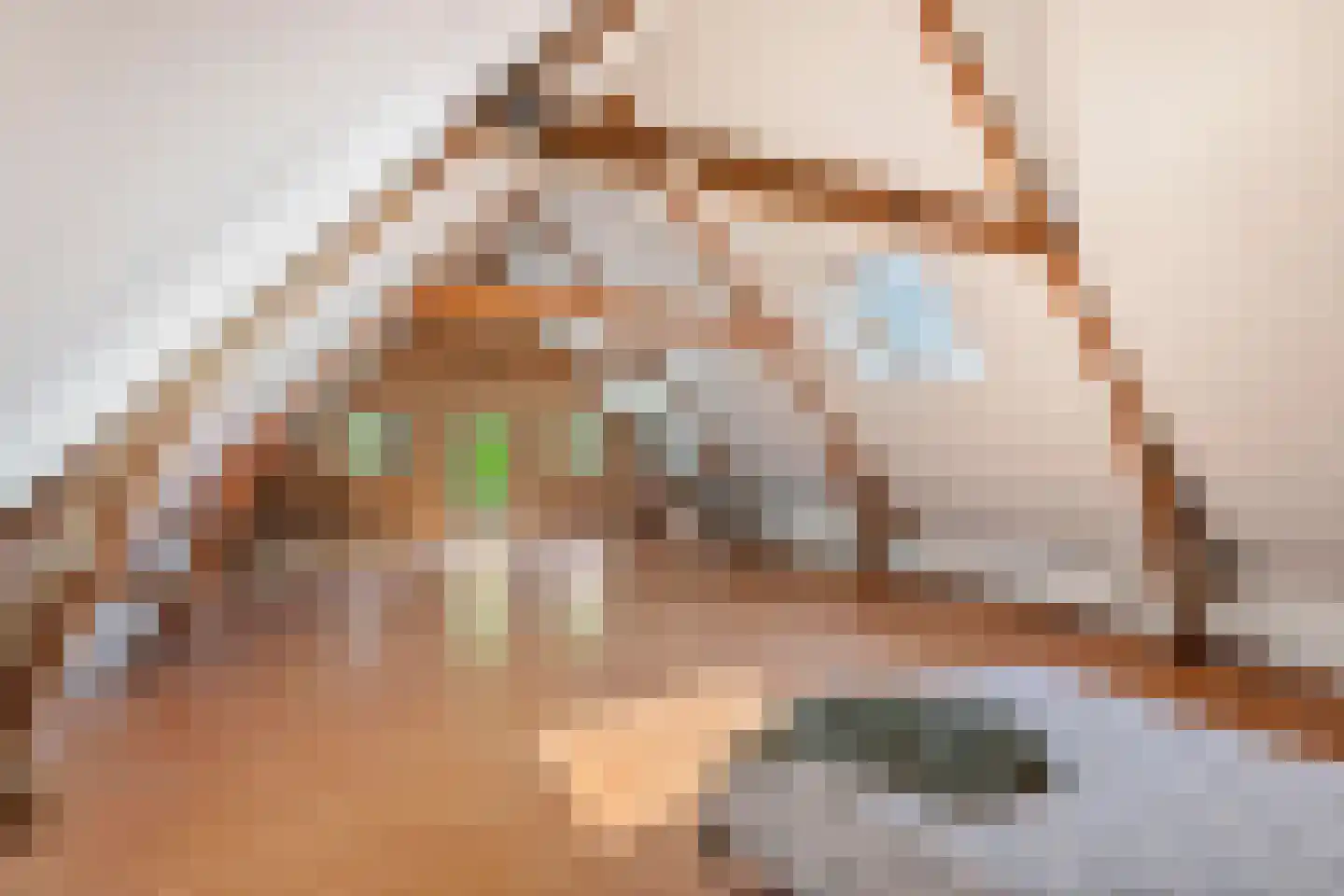 Kerkstraat 17 Varik thumbnail 107