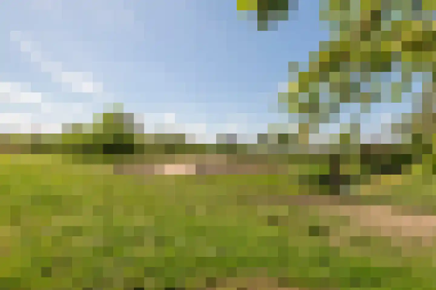 Kerkstraat 17 Varik thumbnail 109