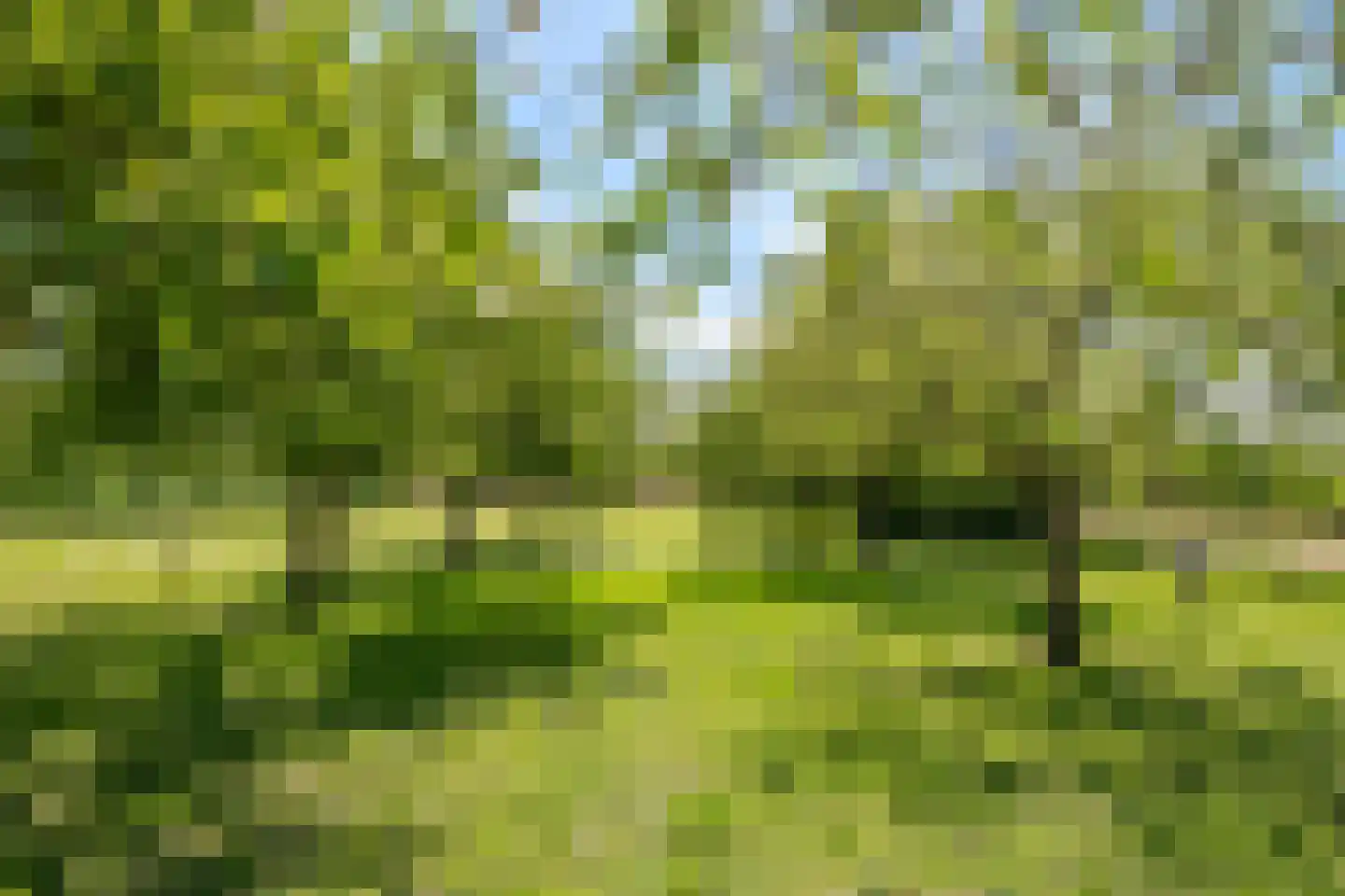 Kerkstraat 17 Varik thumbnail 109
