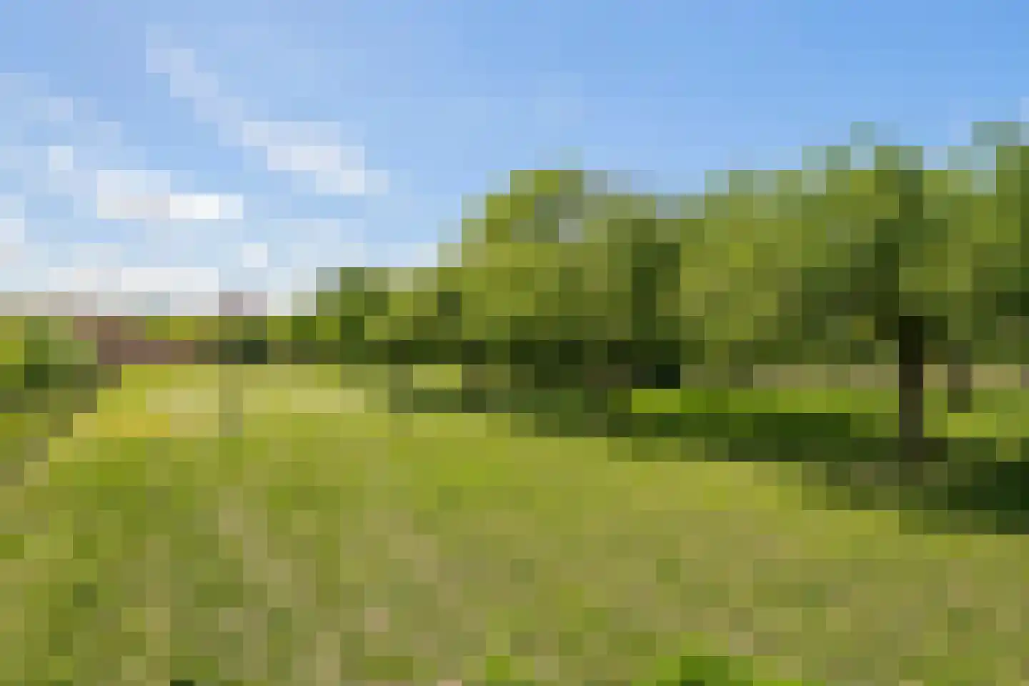 Kerkstraat 17 Varik thumbnail 111