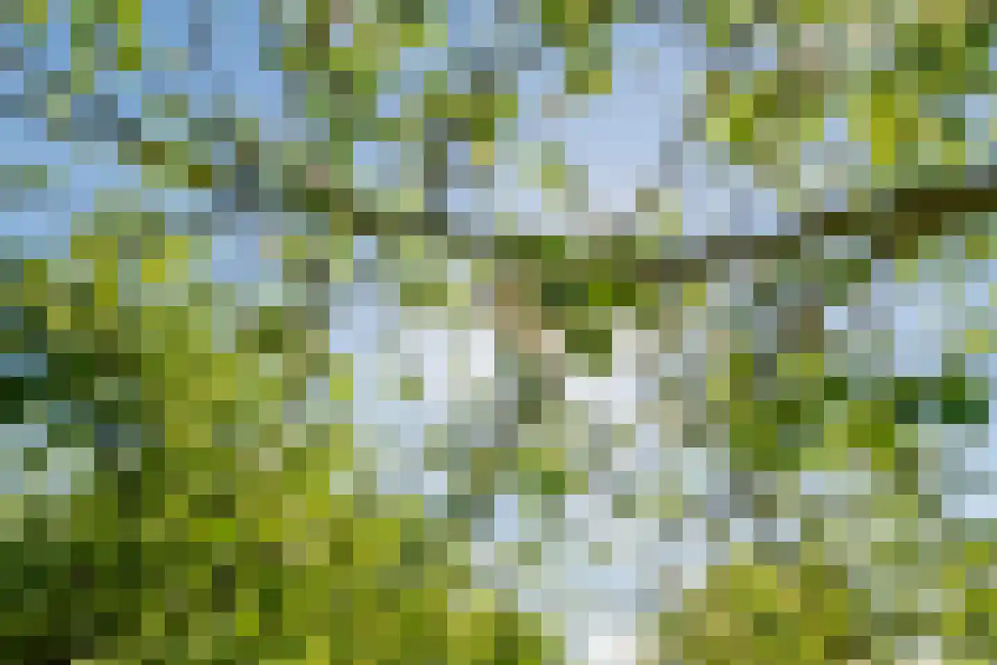 Kerkstraat 17 Varik thumbnail 112