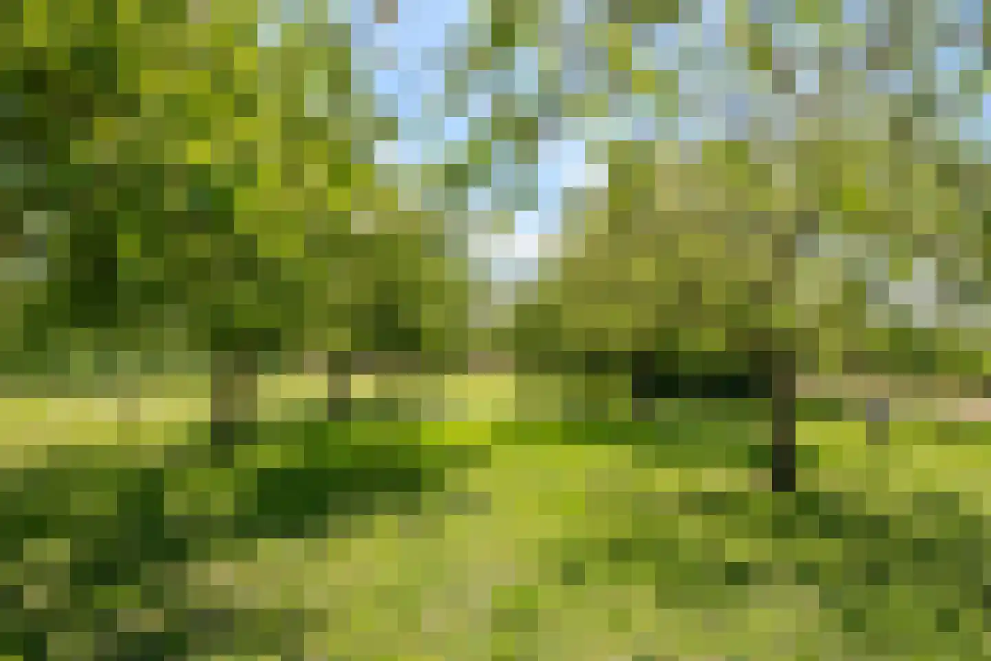 Kerkstraat 17 Varik thumbnail 113