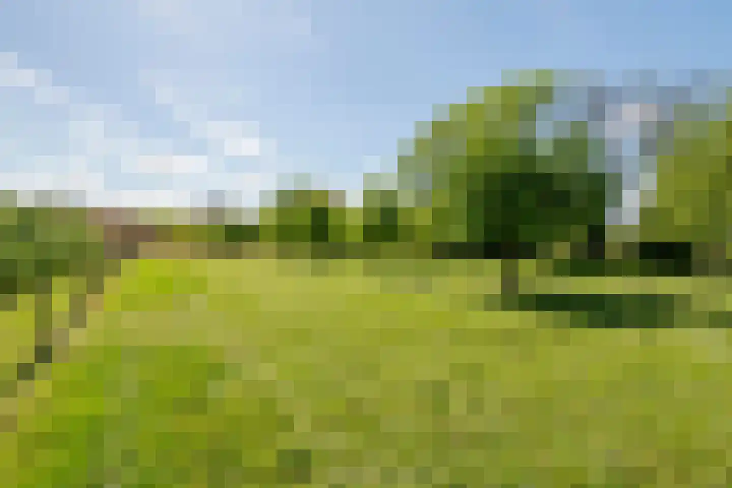 Kerkstraat 17 Varik thumbnail 114