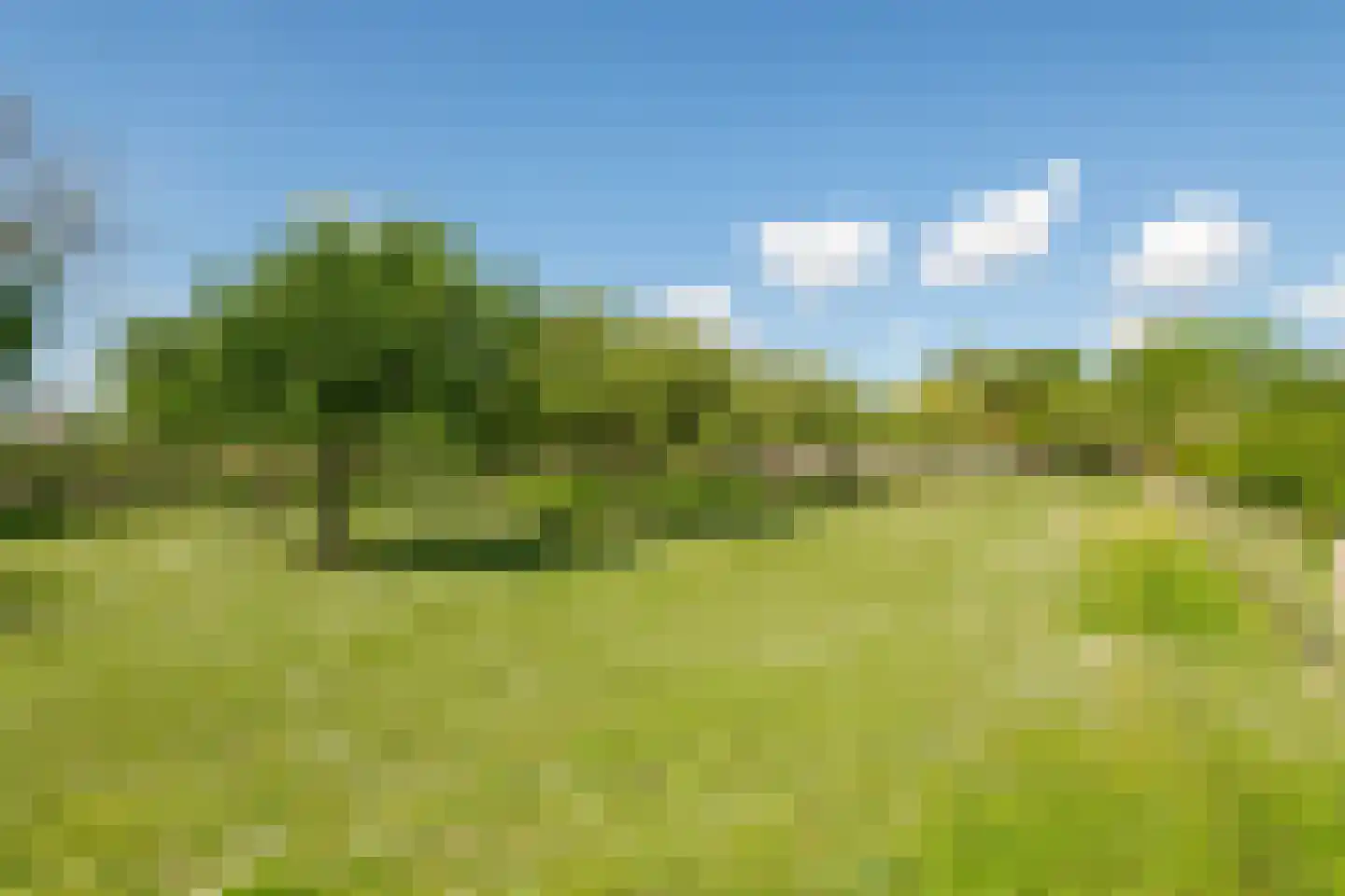 Kerkstraat 17 Varik thumbnail 116