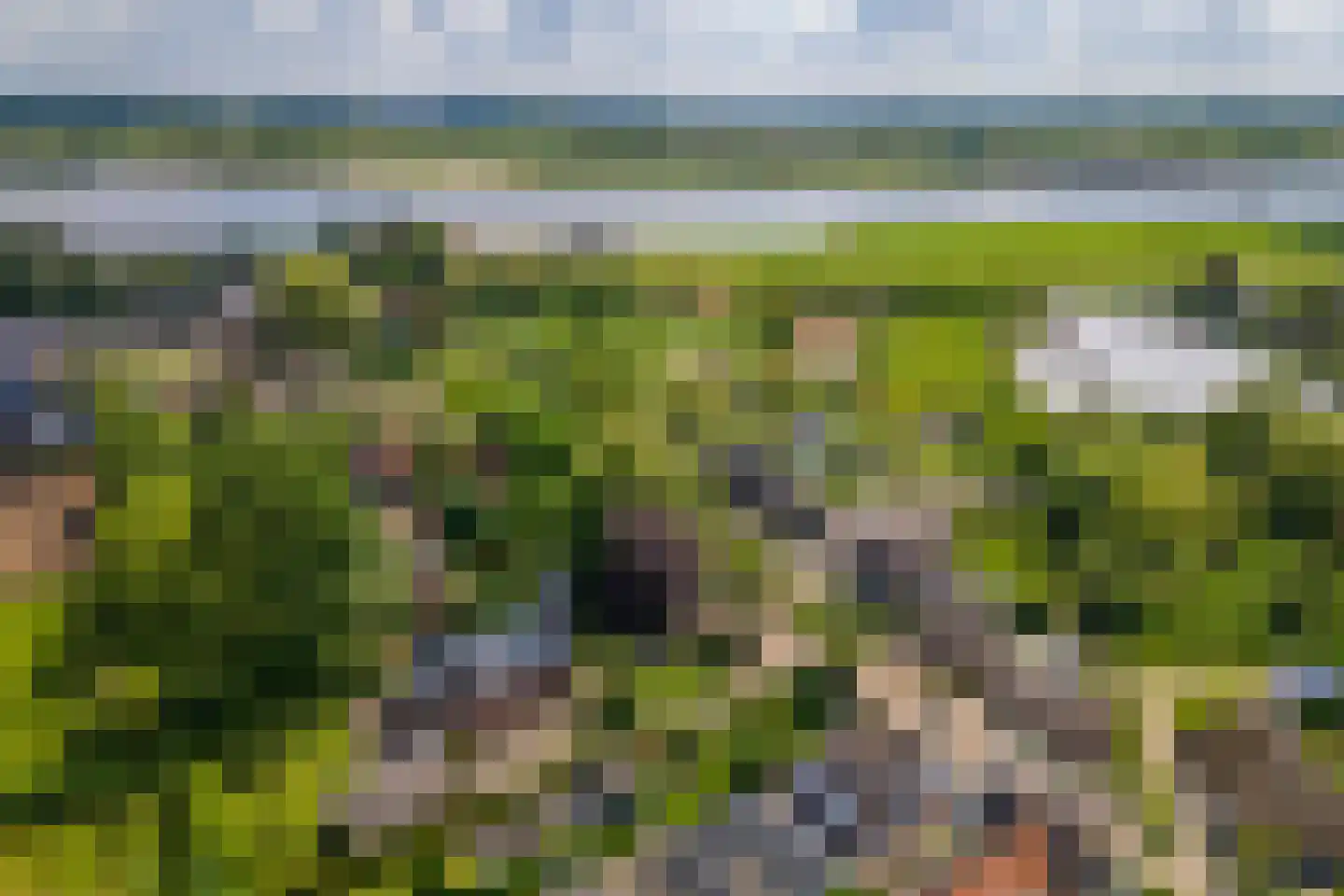 Kerkstraat 17 Varik thumbnail 118