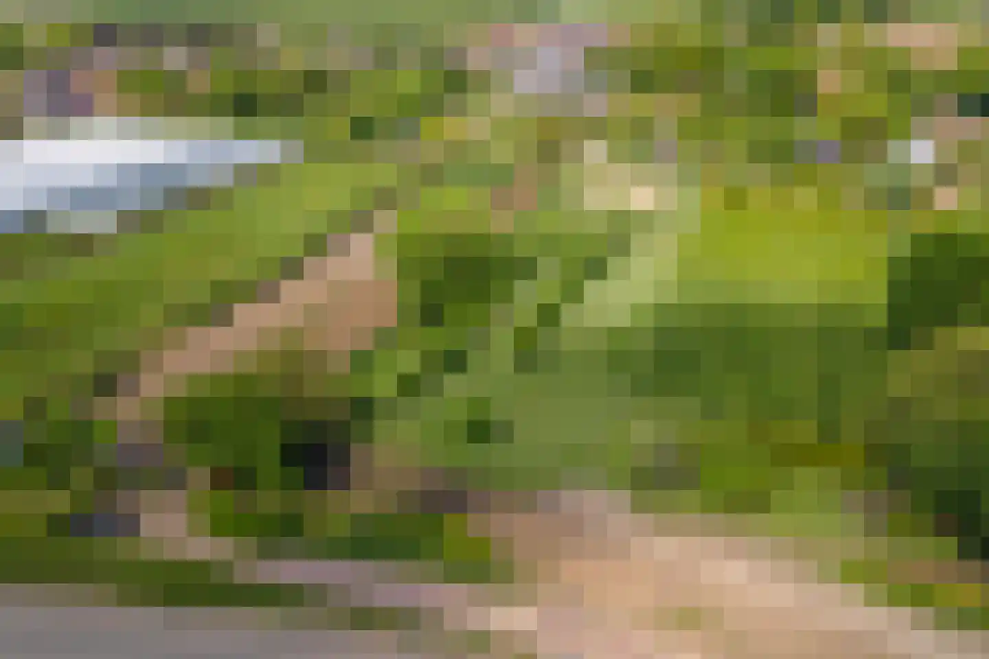 Kerkstraat 17 Varik thumbnail 120