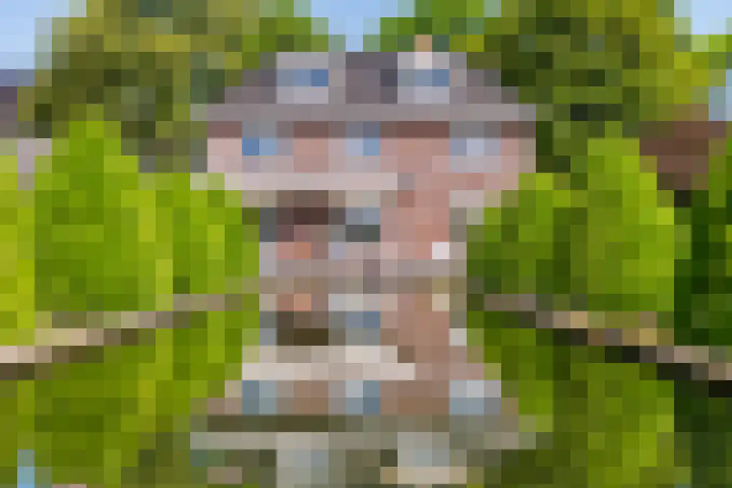 Kerkstraat 17 Varik thumbnail 29