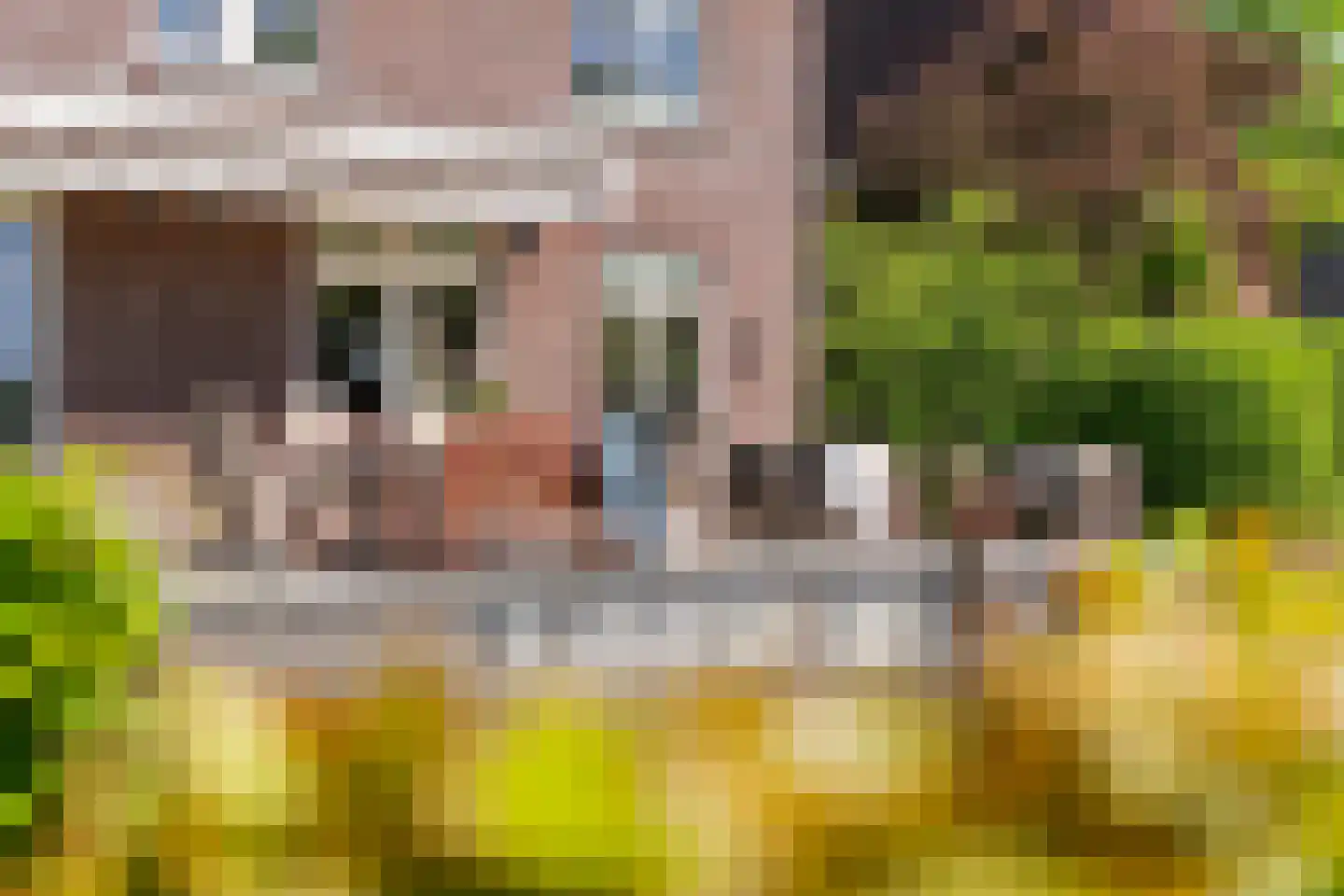 Kerkstraat 17 Varik thumbnail 30
