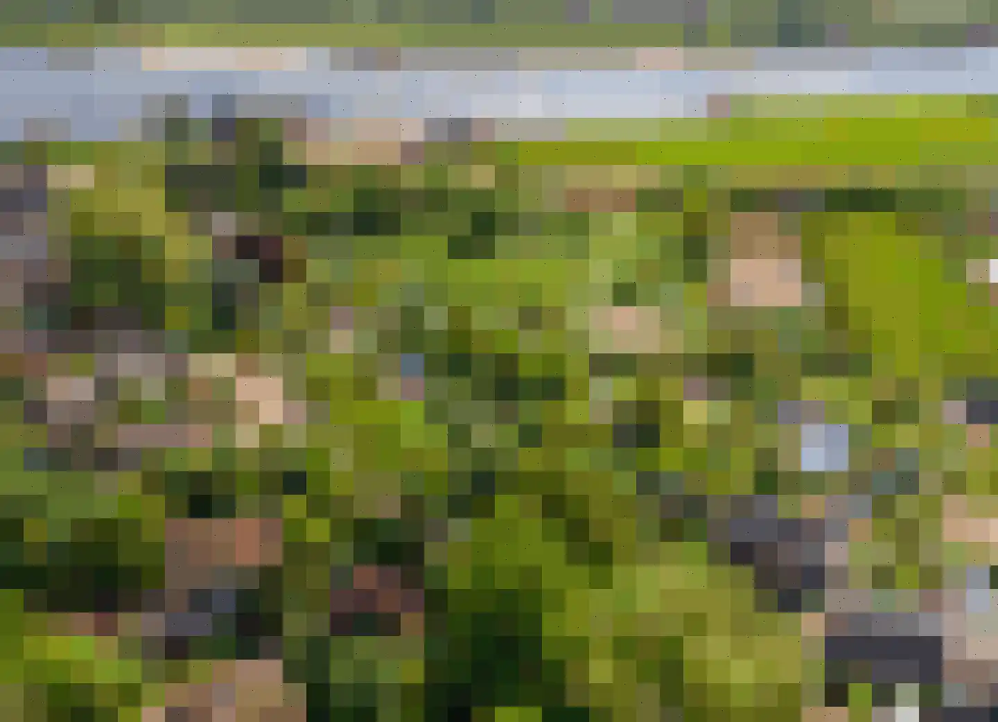 Kerkstraat 17 Varik thumbnail 38