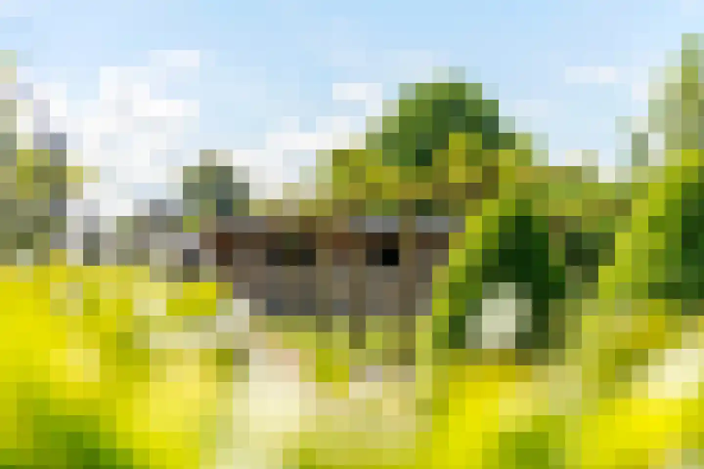 Kerkstraat 17 Varik thumbnail 42