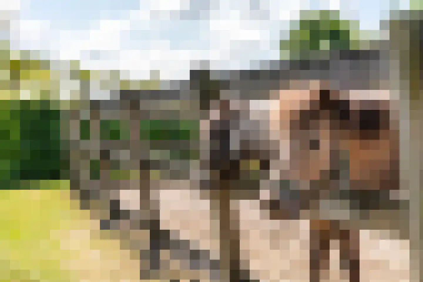 Kerkstraat 17 Varik thumbnail 43