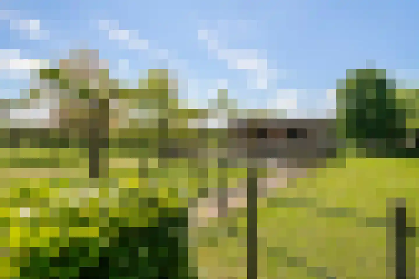 Kerkstraat 17 Varik thumbnail 45