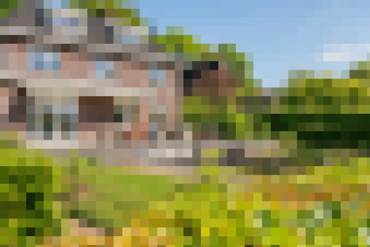 Kerkstraat 17 Varik thumbnail 5
