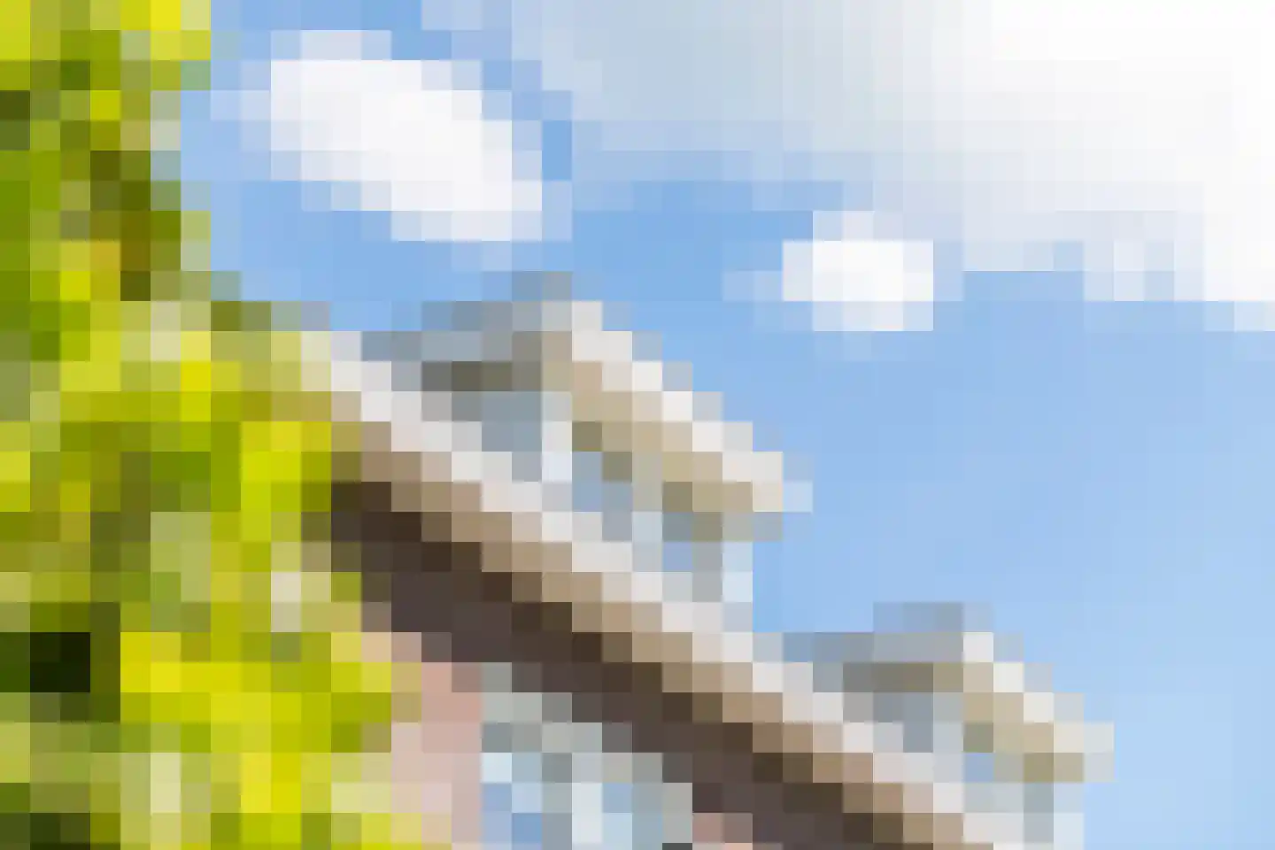 Kerkstraat 17 Varik thumbnail 6