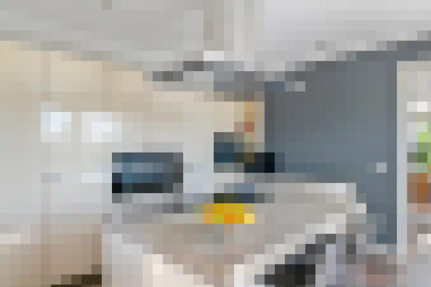Kerkstraat 17 Varik thumbnail 65