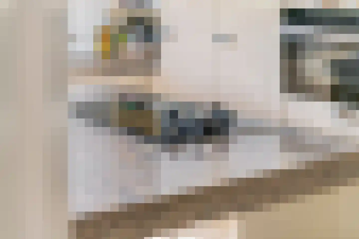 Kerkstraat 17 Varik thumbnail 66