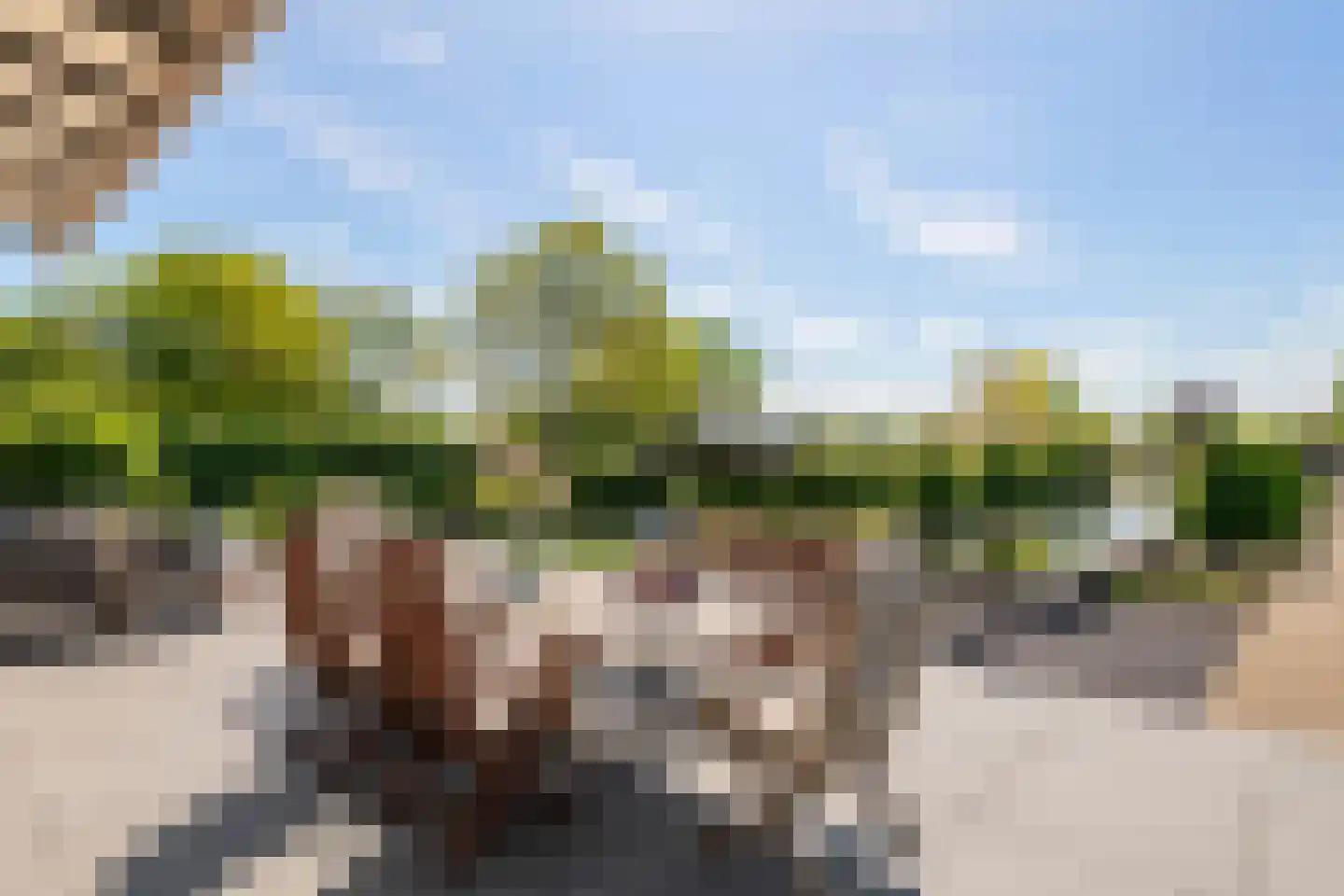 Kerkstraat 17 Varik thumbnail 7