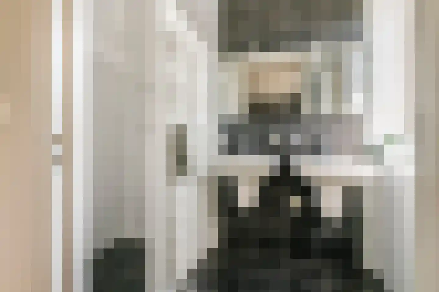 Kerkstraat 17 Varik thumbnail 73
