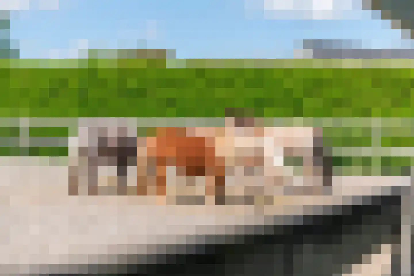 Kerkstraat 17 Varik thumbnail 81