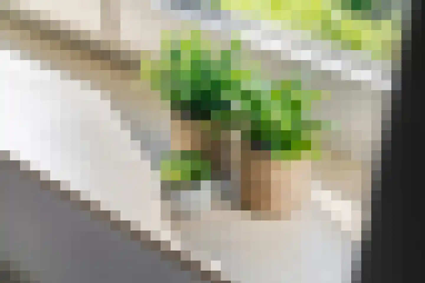Kerkstraat 17 Varik thumbnail 83