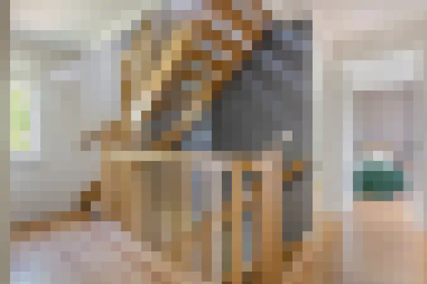 Kerkstraat 17 Varik thumbnail 87