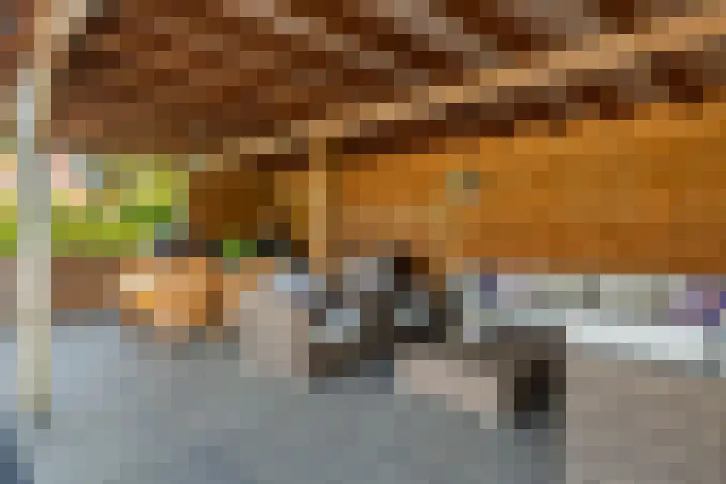 Kerkstraat 17 Varik thumbnail 87