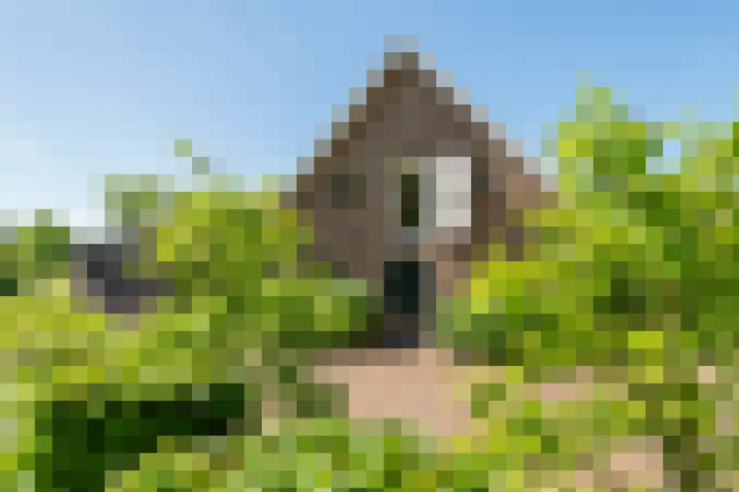 Kerkstraat 17 Varik thumbnail 97