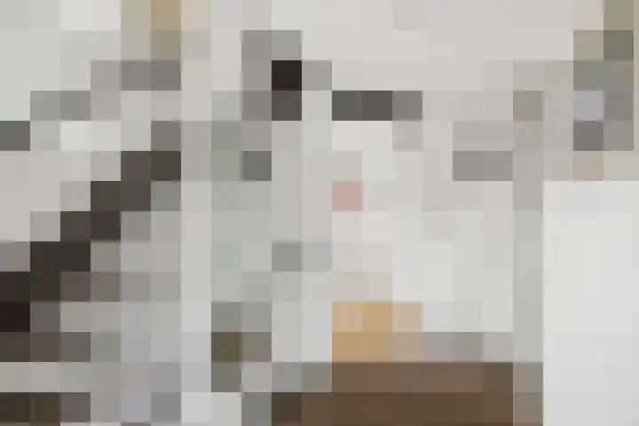 Kerkstraat 17 Voorst thumbnail 18