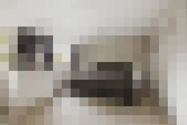 Kerkstraat 17 Voorst thumbnail 19