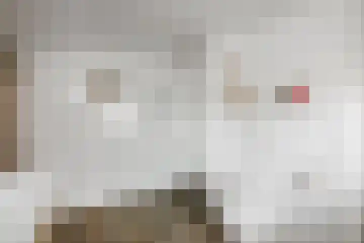 Kerkstraat 17 Voorst thumbnail 25