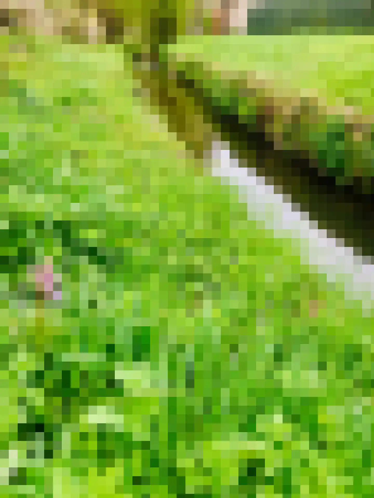 Kerkstraat 17 Wittem thumbnail 32