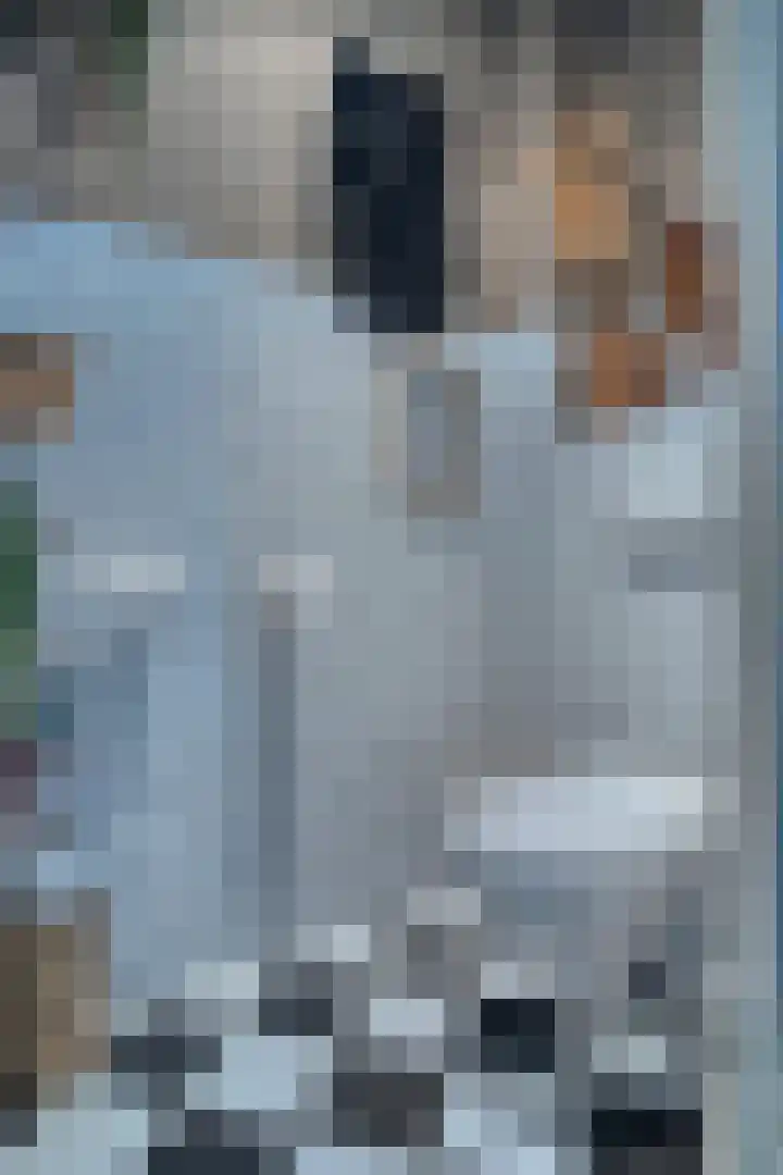 Kerkstraat 17 Zwijndrecht thumbnail 8