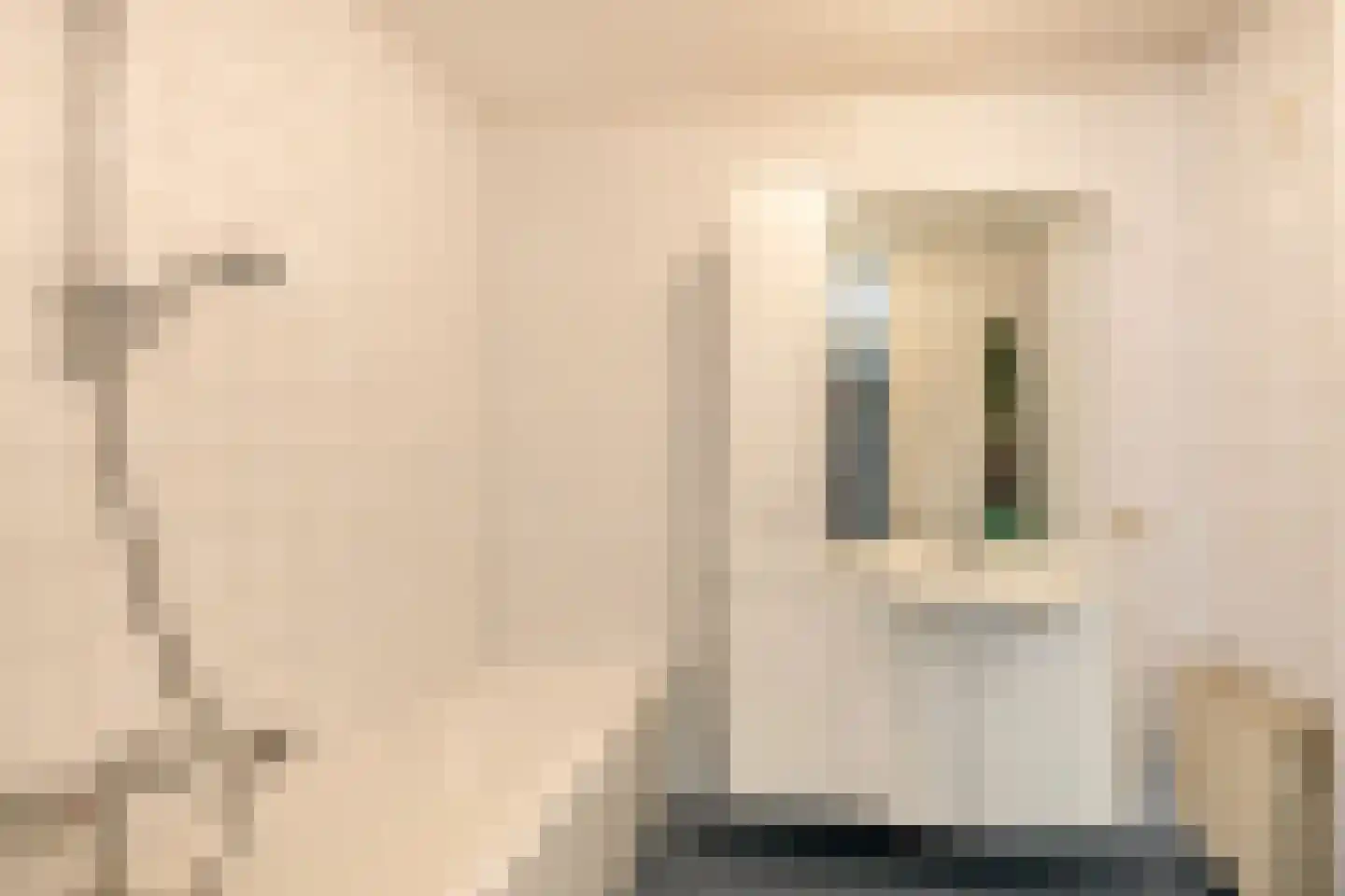Kerkstraat 174 Tegelen thumbnail 13