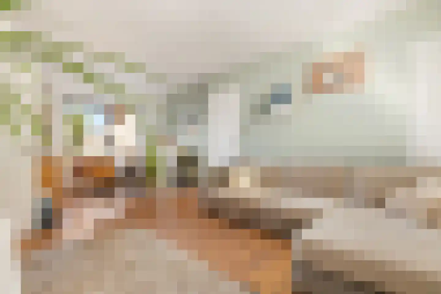Kerkstraat 176 Oostzaan thumbnail 7