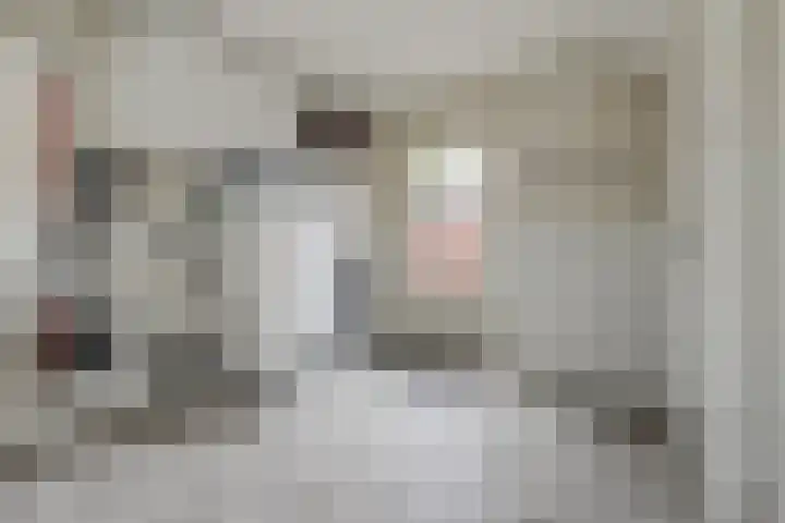 Kerkstraat 18 a Haps thumbnail 27