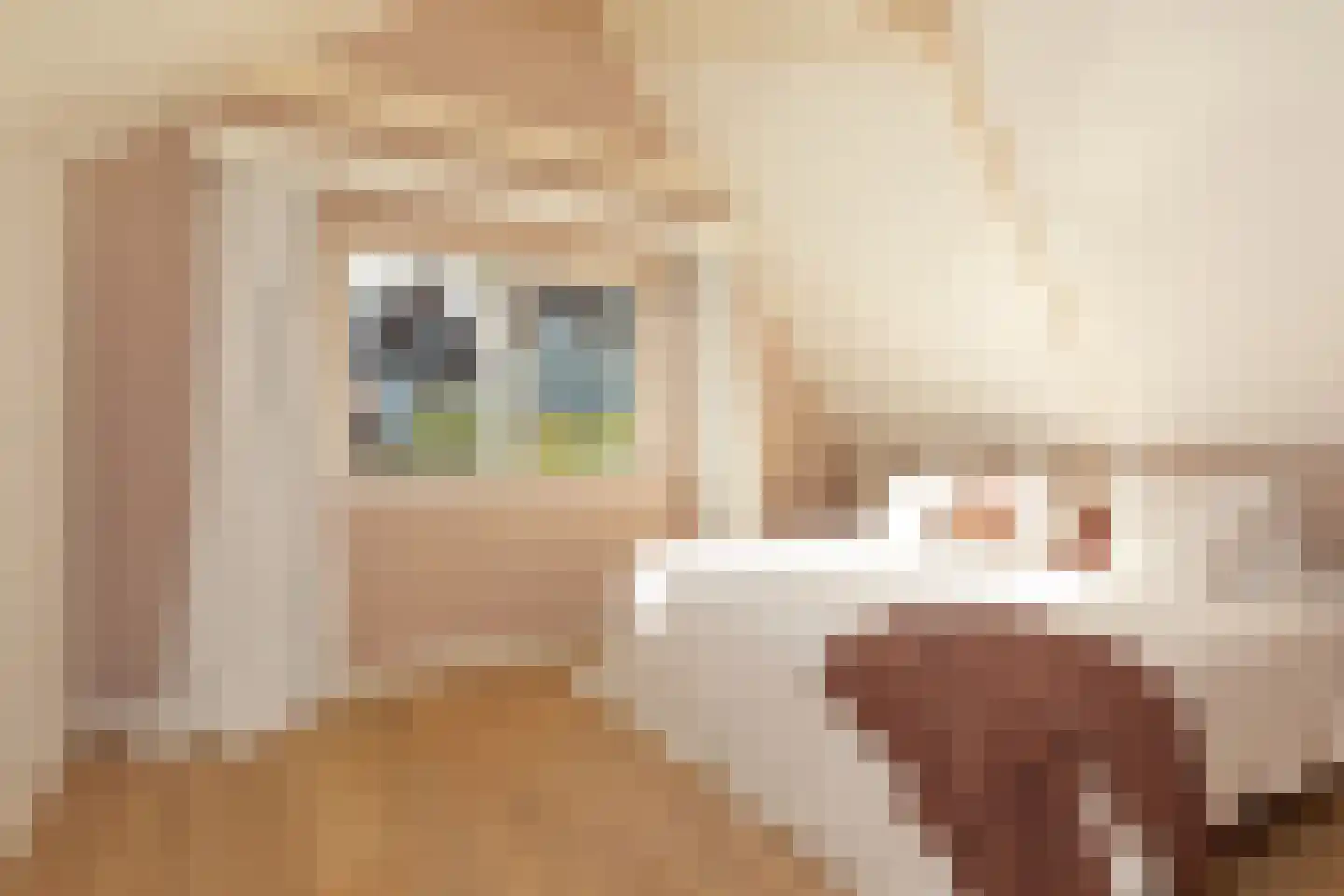 Kerkstraat 18 Abcoude thumbnail 15