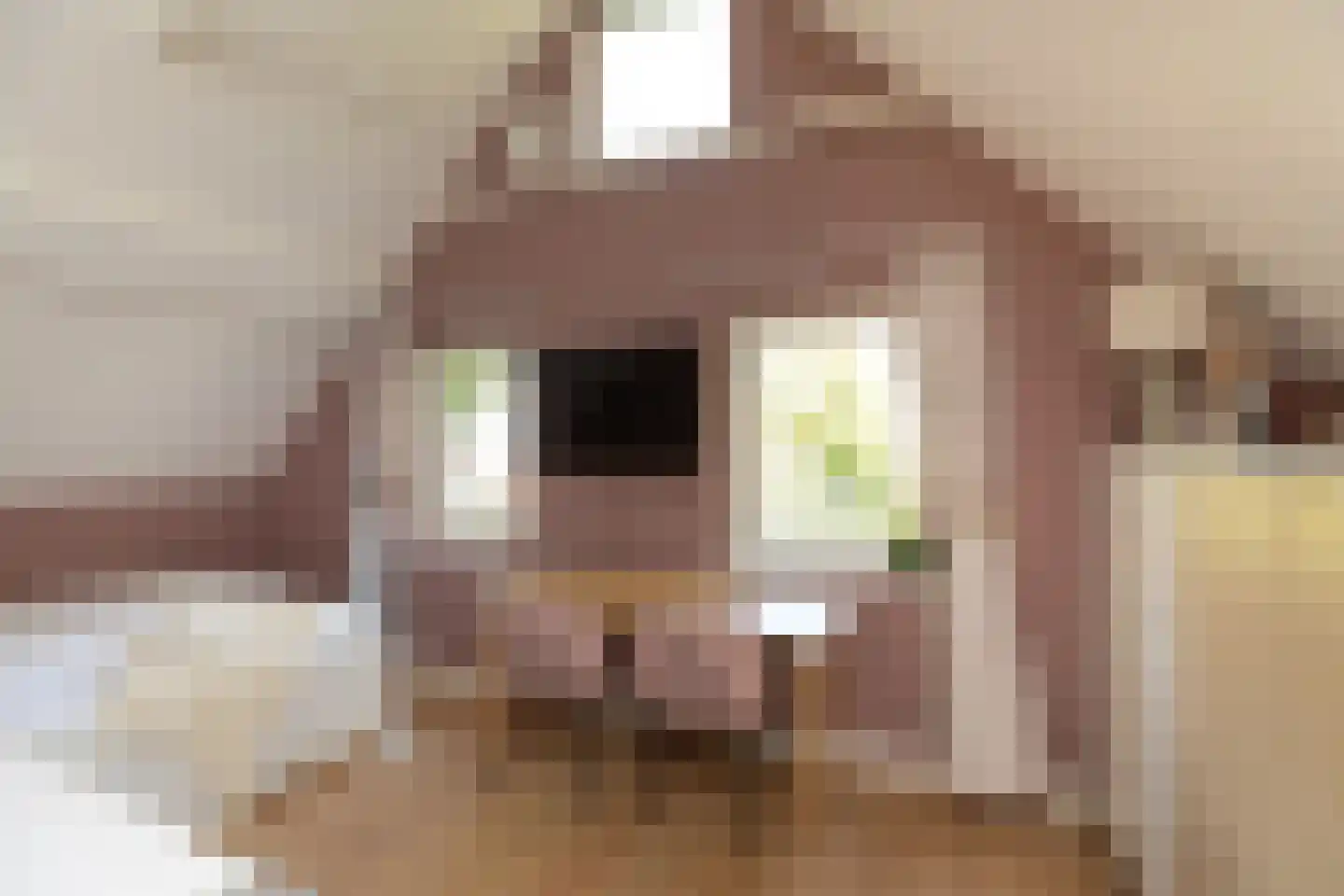 Kerkstraat 18 Abcoude thumbnail 19