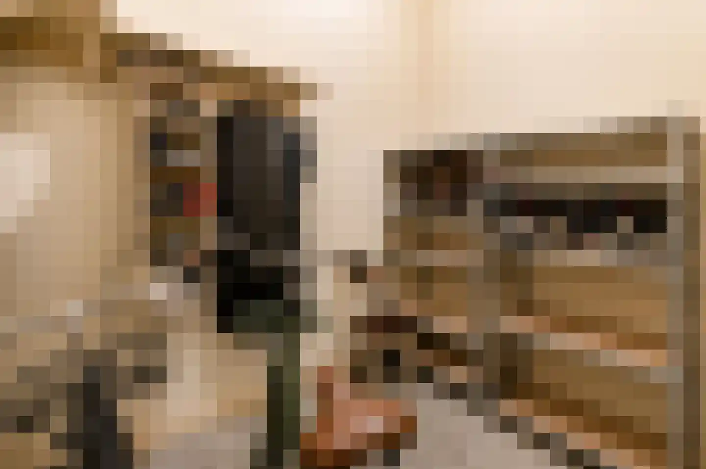 Kerkstraat 18 B Amsterdam thumbnail 38