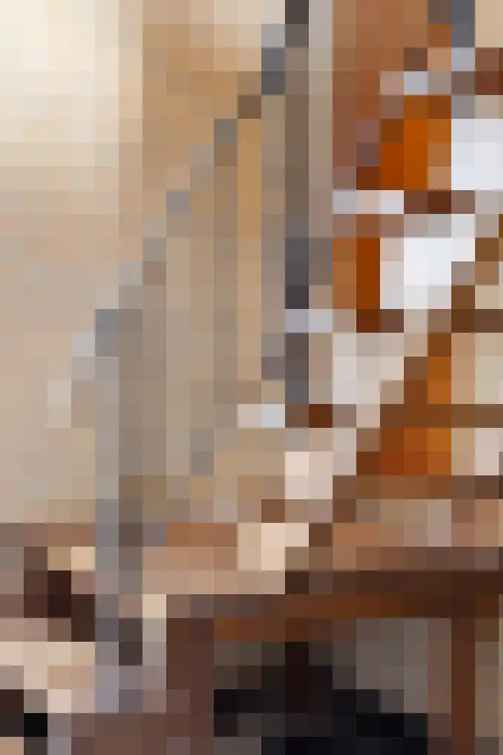 Kerkstraat 18 Best thumbnail 29
