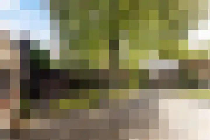 Kerkstraat 18 Best thumbnail 45