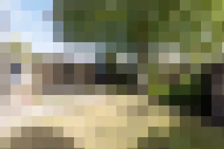 Kerkstraat 18 Best thumbnail 46