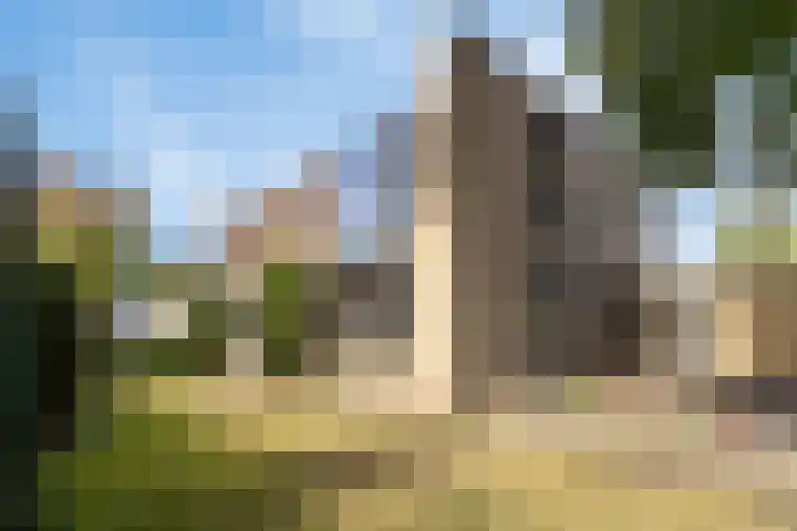 Kerkstraat 18 Best thumbnail 47
